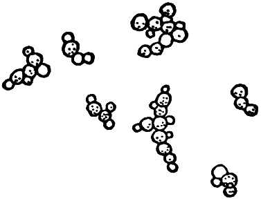 § I. ON THE RELATIONS EXISTING BETWEEN OXYGEN AND YEAST_SCIENTIFIC PAPERS