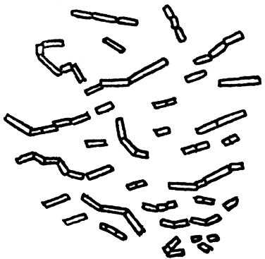 § V. ANOTHER EXAMPLE OF LIFE WITHOUT AIR—FERMENTATION OF LACTATE OF LIME_SCIENTIFIC PAPERS