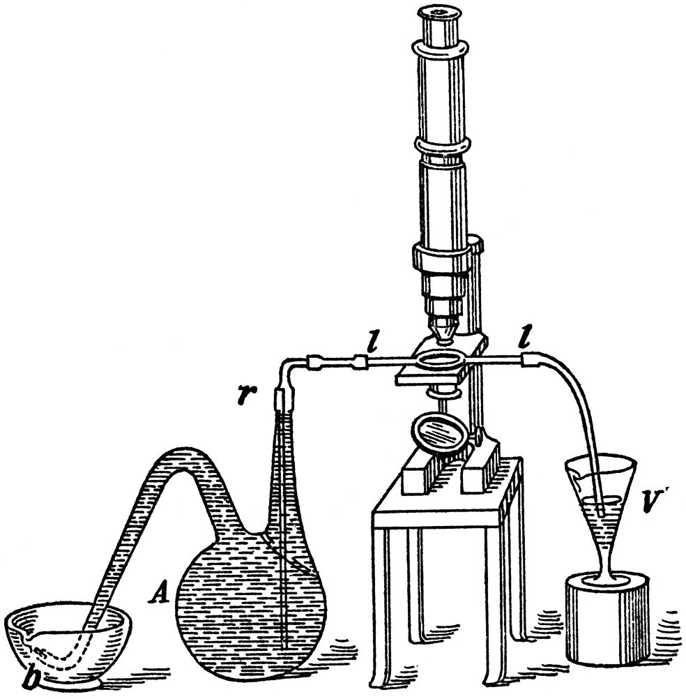 § V. ANOTHER EXAMPLE OF LIFE WITHOUT AIR—FERMENTATION OF LACTATE OF LIME_SCIENTIFIC PAPERS