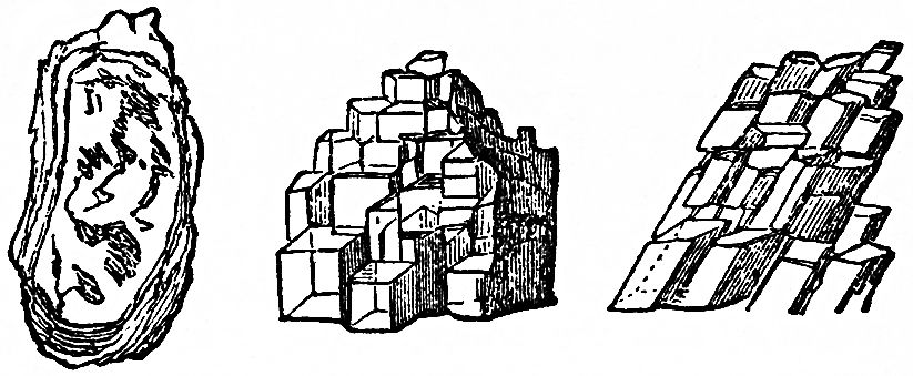 LECTURE II GRAVITATION—COHESION_SCIENTIFIC PAPERS