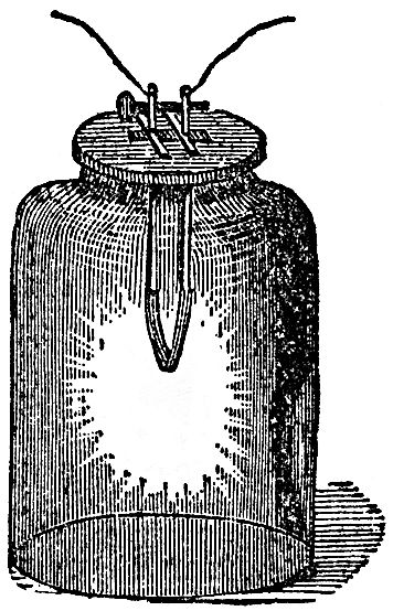 LECTURE VI THE CORRELATION OF THE PHYSICAL FORCES_SCIENTIFIC PAPERS