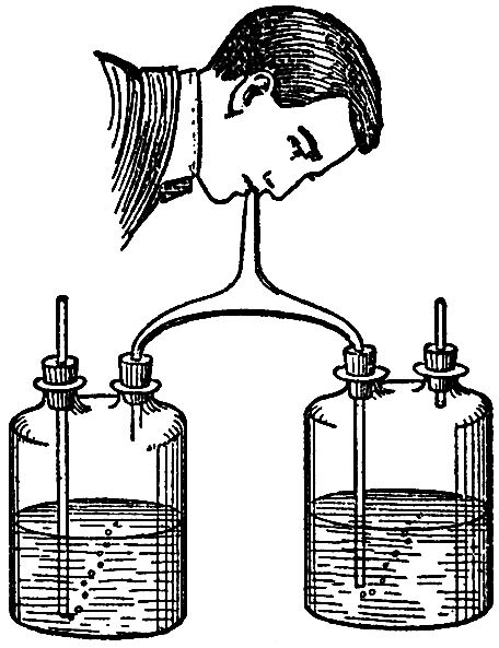 LECTURE VI CARBON OR CHARCOAL—COAL-GAS—RESPIRATION AND ITS ANALOGY TO THE BURNING OF A CANDLE—CONCLUSION_SCIENTIFIC PAPERS