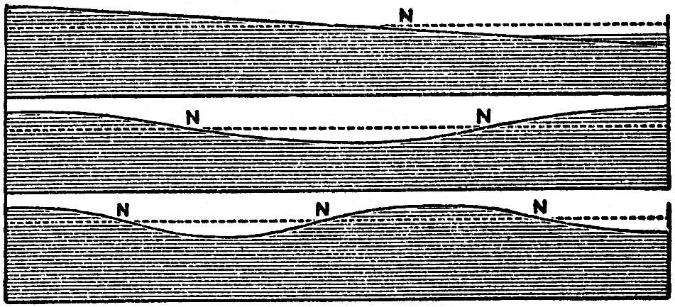 THE TIDES_SCIENTIFIC PAPERS