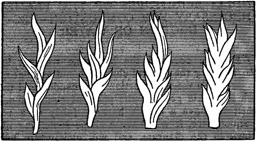 LECTURE I A CANDLE： THE FLAM—ITS SOURCES—STRUC-TURE—MOBILITY—BRIGHTNESS_SCIENTIFIC PAPERS